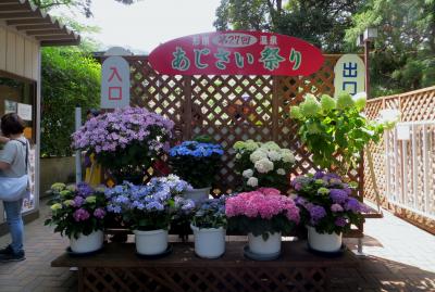 2015梅雨、三河の紫陽花：形原温泉(1/9)：名古屋から蒲郡経由、形原温泉へ