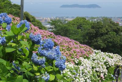 2015梅雨、三河の紫陽花：形原温泉(5/9)：渥美湾遠望、補陀ヶ池、錦鯉