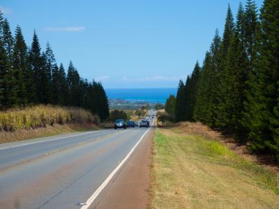 ホノルル着いてすぐノースショアー