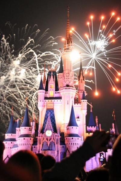 WDW&DCLの旅2015～その1～4大パークを周る