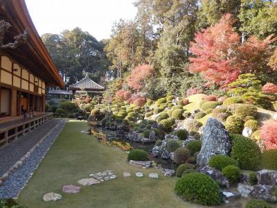 遠州せんちめんたるじゃーにー　曳馬野の風を感じて　（3）龍潭寺