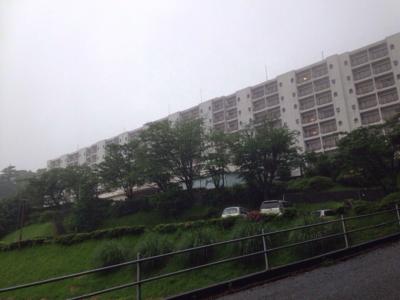 急遽 霧島温泉郷へ