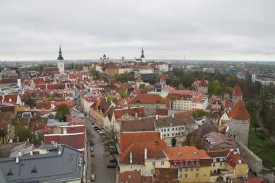 バルト三国一人旅Part5(タリン市内観光～帰国)