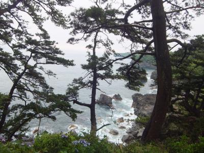 '15 第7弾 母娘 伊豆稲取温泉1泊2日の癒し旅