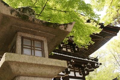 関西散歩記～2015 京都・京都市右京区～