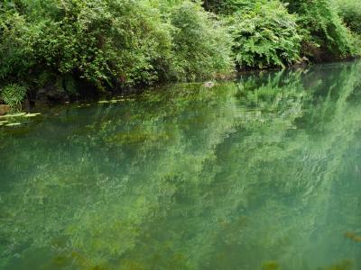 Trang An チャンアン。水、緑、山の神秘。世界遺産登録おめでとう！