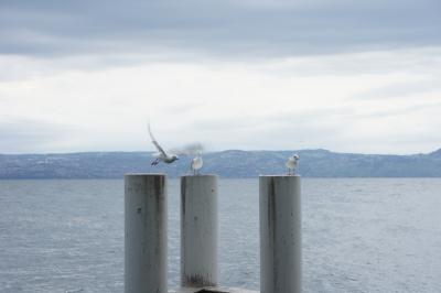 2012. 息子とエヴィアン