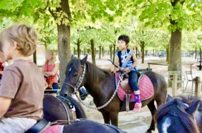 2012. 息子とパリ 毎日通ったリュクサンブール公園