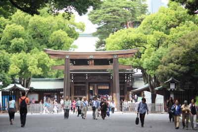 開運の神社　パーワスポット　明治神宮に！代々木公園の花も！