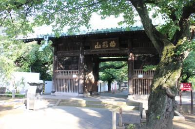 中目黒の　祐天寺に　立ち寄り。。。。帰りの新幹線からの夕陽