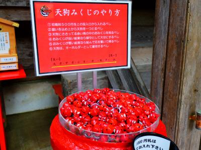 金星人との出遭いを求めて～鞍馬　宇宙遺産？へ