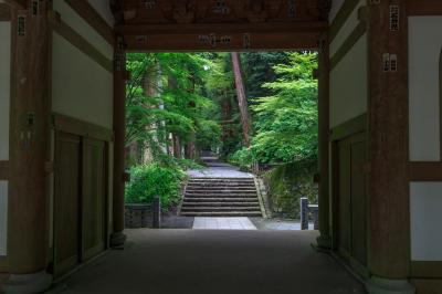 天国への階段？～大雄山最乗寺～