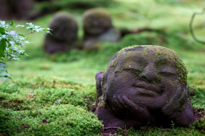 「上ル下ル、東入ル西入ル」　一泊二日の京都散歩（最終日）　運ちゃんのお勧めは大原だった！