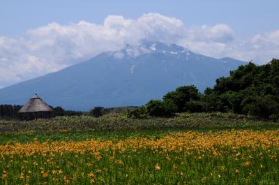 初夏の津軽へ【２】～ベンセ湿原のゼンテイカ～