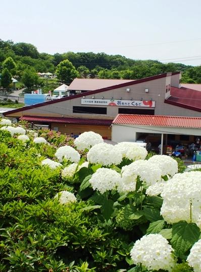 シニアの探検　道の駅　しらとりの郷･羽曳野