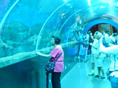 シンガポール　「行った所・見た所」　セントーサ島観光　①　（水族館などの見学）