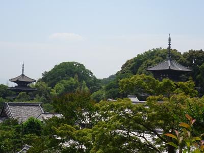 奈良の一人旅　當麻寺