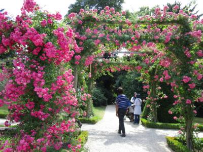 1万本のバラが植えられているというバガテル庭園
