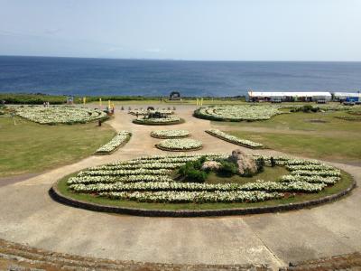 伊江島・ゆり祭り