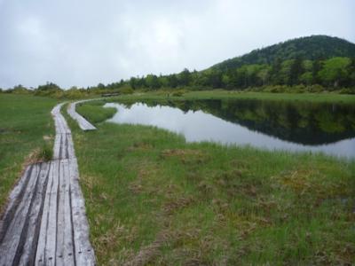 山上に突然開ける雲上の湿原へ　雨天あきらめだったがまさかの天気！