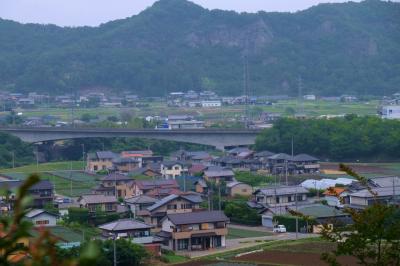 下仁田あじさい園　見晴らしい良い　斜面に美しくに咲く　あじさいたち　中