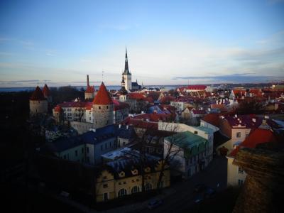 ESTONIA ～北欧の田舎でワークキャンプ～