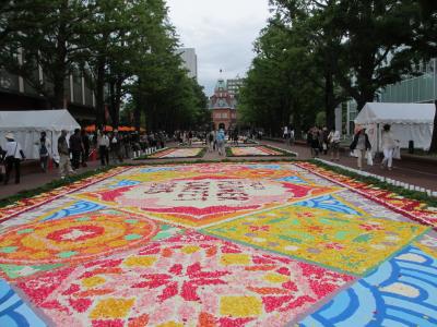 北海道滞在中・SAPPORO FLOWER CARPET 2015