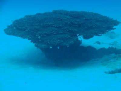 沖縄離島（石垣・波照間）海の美しさに感激