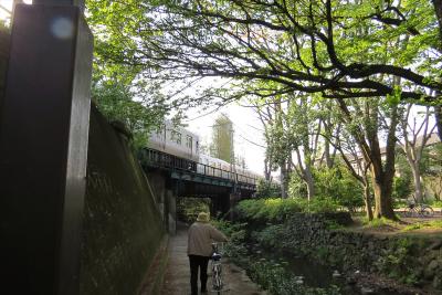 神田川を歩いてみました（１）井の頭～永福町