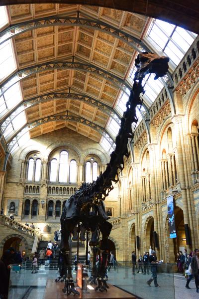 初めての海外一人旅 イギリス編 9日目 