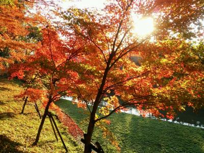 秋の奈良旅行　２泊目ランチ後　　法輪寺　竜田川公園　寄り道で三重県なばなの里
