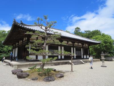 一人で歩く初夏の奈良☆秋篠寺☆１年に１日しか頂けないご朱印は、１時間半待ちでした\(◎o◎)／！