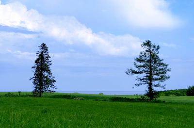 “ 北の大地に大樹晩成 ” ・ 広漠と忽然と…、 ディープ十勝探査 【 北海道 大樹町 】