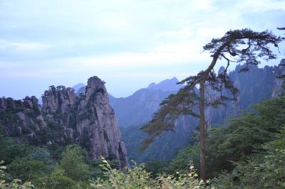 幻想の光景が広がる大絶景の地・黄山を巡る旅：（その３）黄山、屯渓を経て帰国