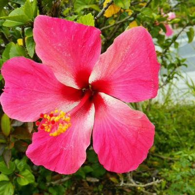 夫婦旅行】沖縄３rd☆１日目～石垣