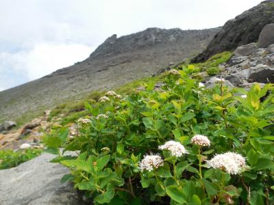 活火山茶臼岳ハイキング～可憐に咲く花を楽しみながら～