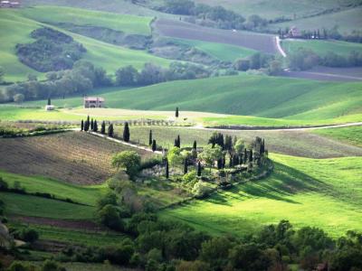 春のITALIA ☆ 5. Montepulciano