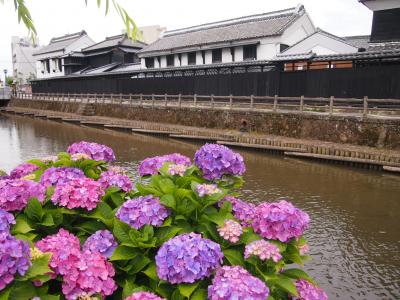 紫陽花の時期の栃木市へ［①］謙信平、あじさい坂、巴波川など