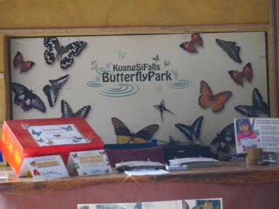 ルアンプラバーン郊外の、Kuang Si の滝近くの蝶々の楽園。オランダ人の経営する Butterfly Park。
