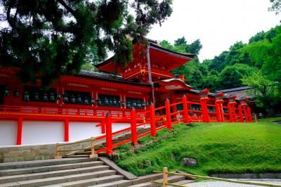 春日大社「御本殿」特別公開に行ってきました