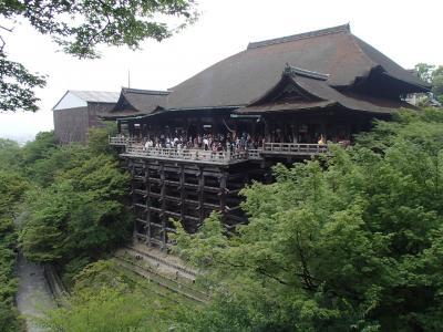 日本初旅行のアメリカ人を連れて京都・奈良のメジャーポイントを御案内１