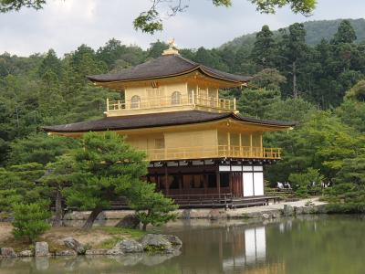 日本初旅行のアメリカ人を連れて京都・奈良のメジャーポイントを御案内２