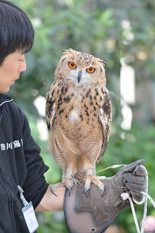 掛川花鳥園にいってきた