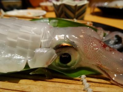 話題のふるさと割で半額旅行