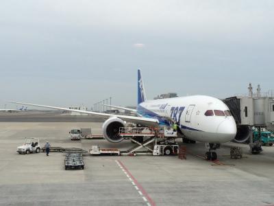 Fly ANA All NIPPON AIRWAYS @ SINGAPORE YouTube動画