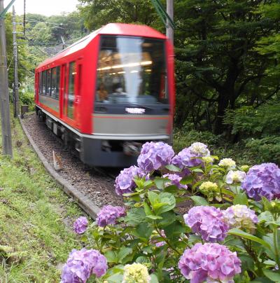 箱根登山鉄道 あじさい電車～アレグラ号は、製薬会社のネーミングライツ？