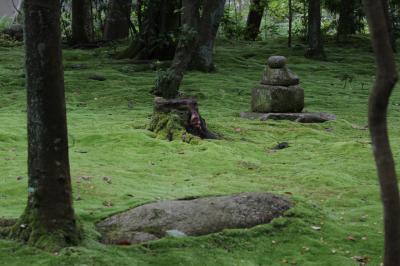 奈良　秋篠寺　苔を見る１　梅雨には梅雨の楽しみ方がある