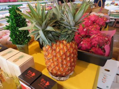 突然石垣島へ201507