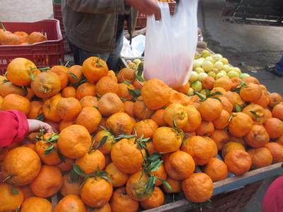 姪っ子ちゃんとフェイラ（青空市場）に行って来ました