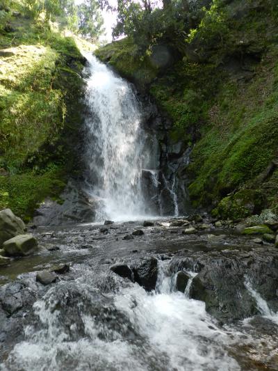 一乗滝～一乗谷朝倉氏遺跡でお花見～鳴滝◆2015年4月・福井＆加賀の滝めぐり≪その５≫